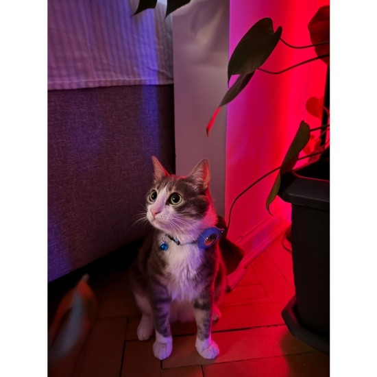 Loshall Tag MFi Sertifikalı Apple Find My Özellikli Kayıp Eşya Bulucu