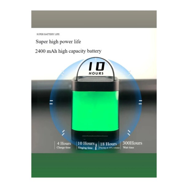 Z9 Karaoke Hoparlör Taşınabilir Bluetooth Hoparlör Mikrofon Seti Siyah