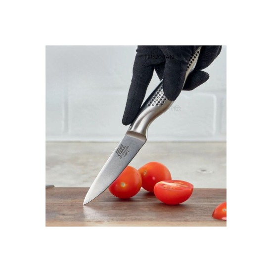 Hitt Çelik Şef Bıçağı  Fleto Bıçağı
